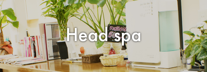 Head spa